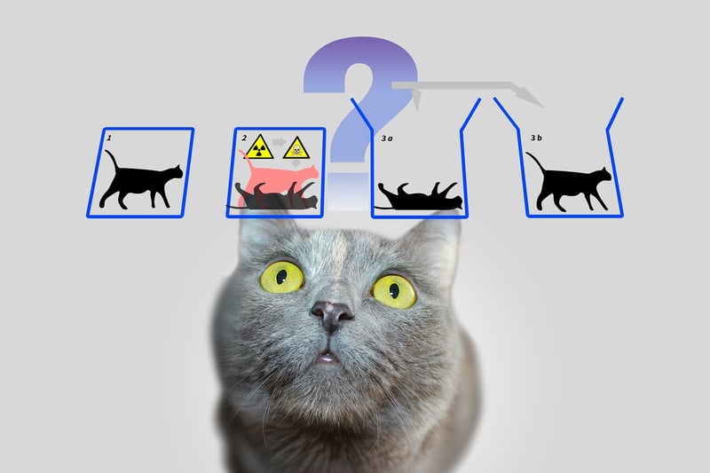 Quantum Flux Detector